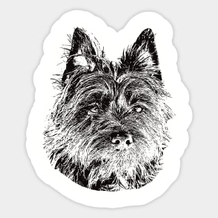 Cairn Terrier gift for Cairn Owners Sticker